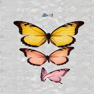 butterfly background transparent