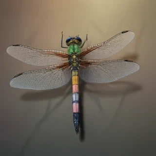 dragonfly png