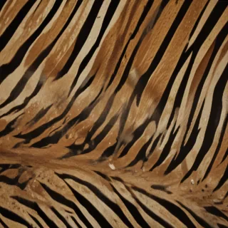 tiger stripes png