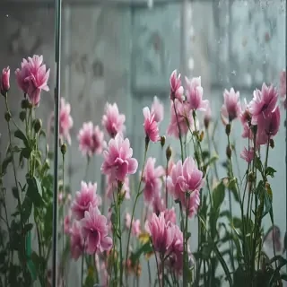 flowers behind glass wallpaper