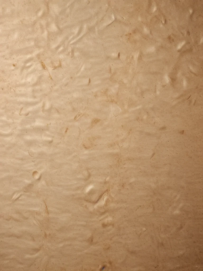 grain paper texture