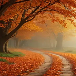 autumn wallpaper phone