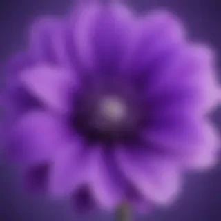 purple cute wallpaper