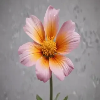 wildflower png