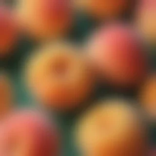 cute peach background