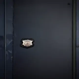police backgrounds