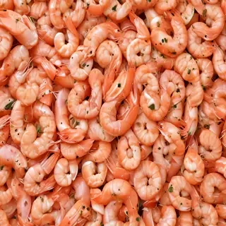 shrimp png