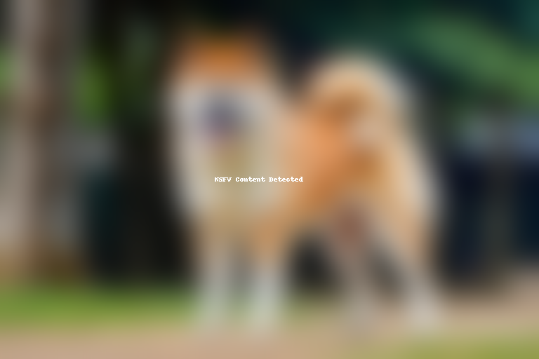 akita inu dog breed