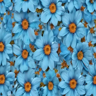 background blue flower