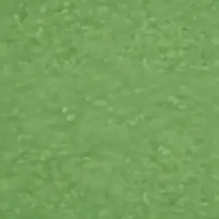 green background plain