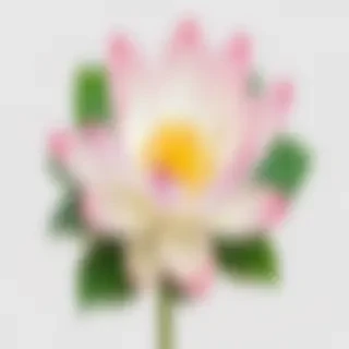 lotus flower png