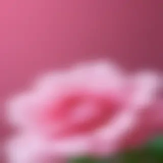 girly pink wallpaper iphone