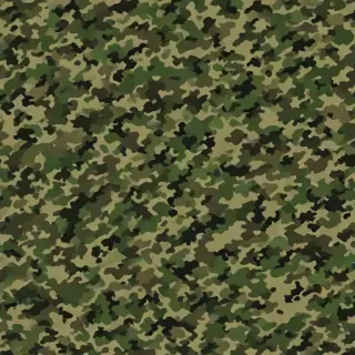 camo png
