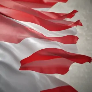 polish flag