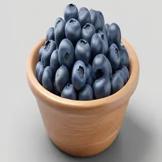 blueberry png