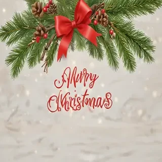 png merry christmas