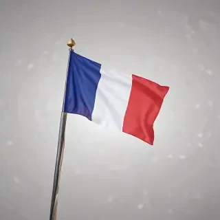 french flag png