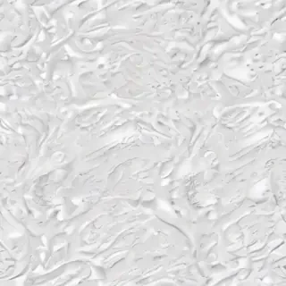 white bg