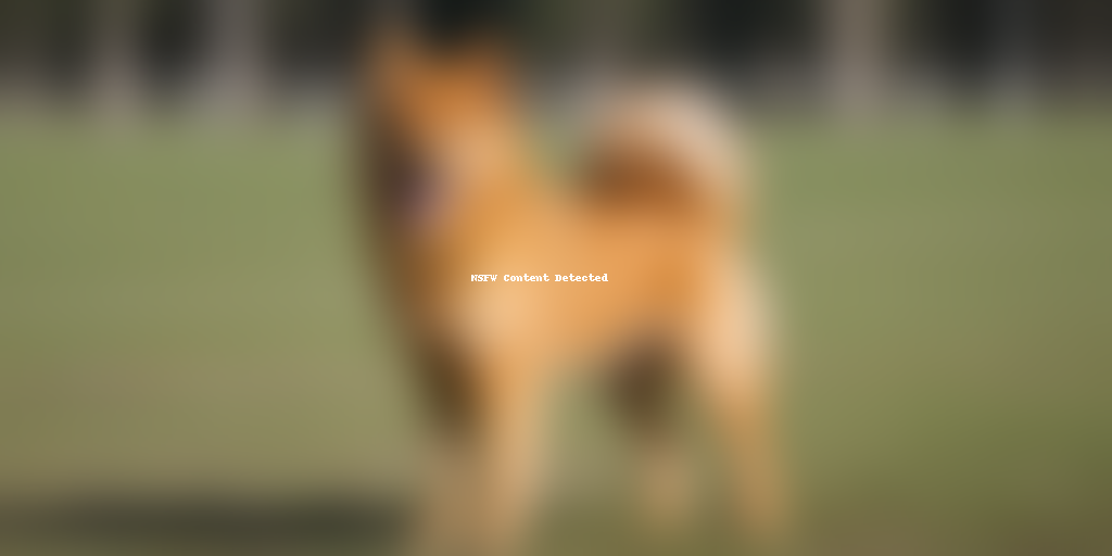finnish spitz dog breed