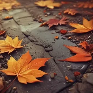 wallpaper autumn iphone
