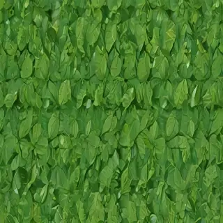leaf background green