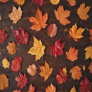 fall wallpapers iphone
