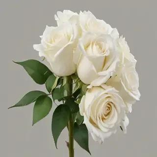 white roses png