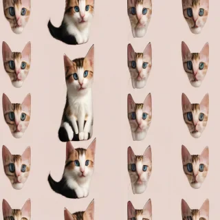 cats wallpaper aesthetic