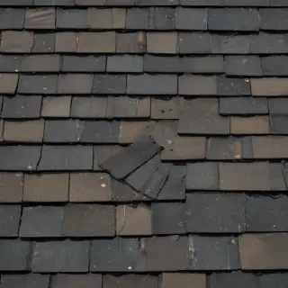 shingles images