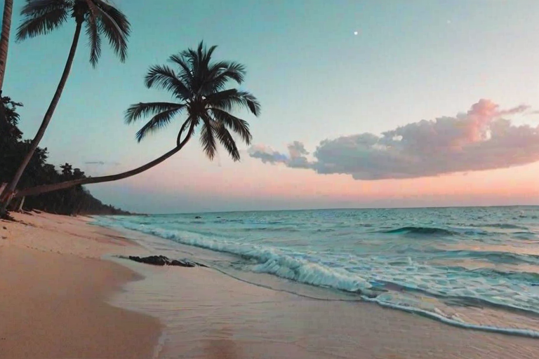 aesthetic beach wallpapers