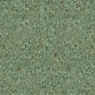 sage green photos
