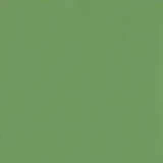 green background plain
