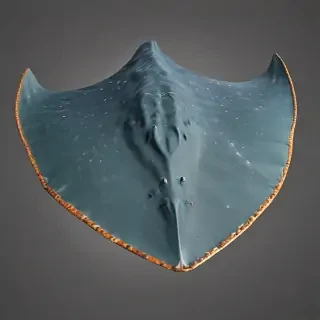 stingray png