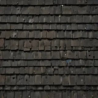 pictures of shingles