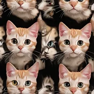 iphone wallpaper cats