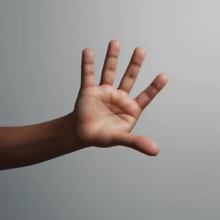 hand reaching png
