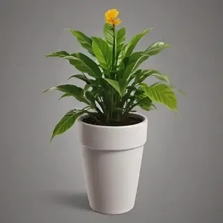 potted plant png