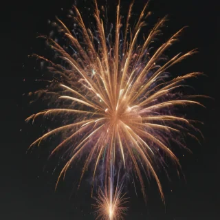 fireworks png transparent