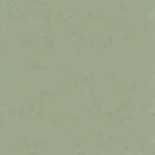 sage green bg