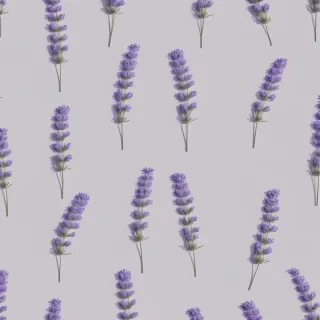 lavender aesthetic wallpaper