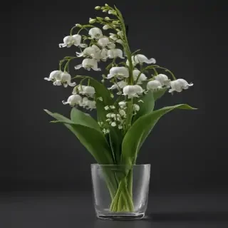 lily of the valley png