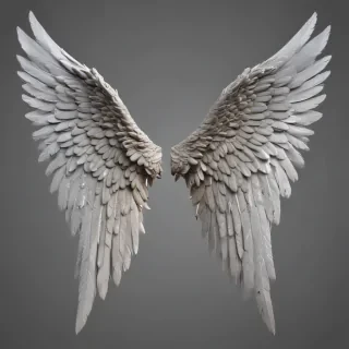 angel wings png transparent