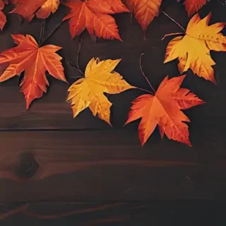 fall wallpaper for iphone