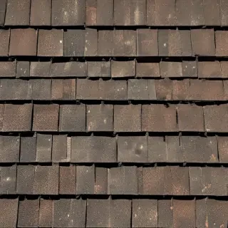 shingles images