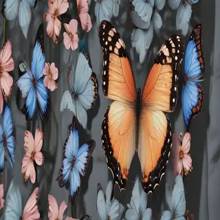 butterfly aesthetic