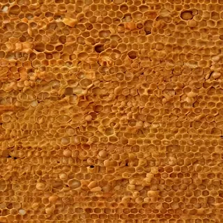 honeycomb png