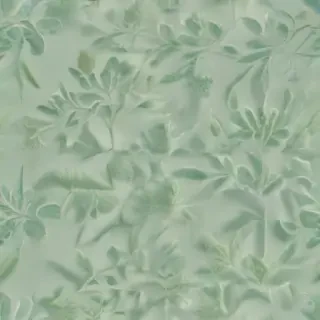 light sage green background