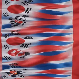 korean flag