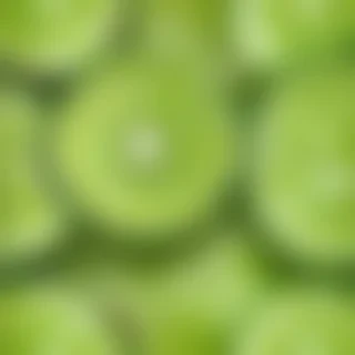 lime png