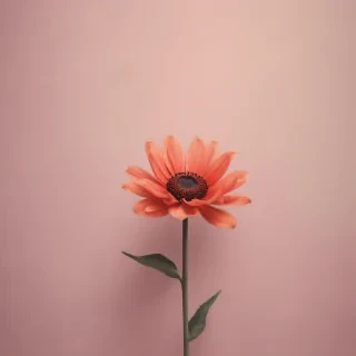 minimal wallpaper iphone